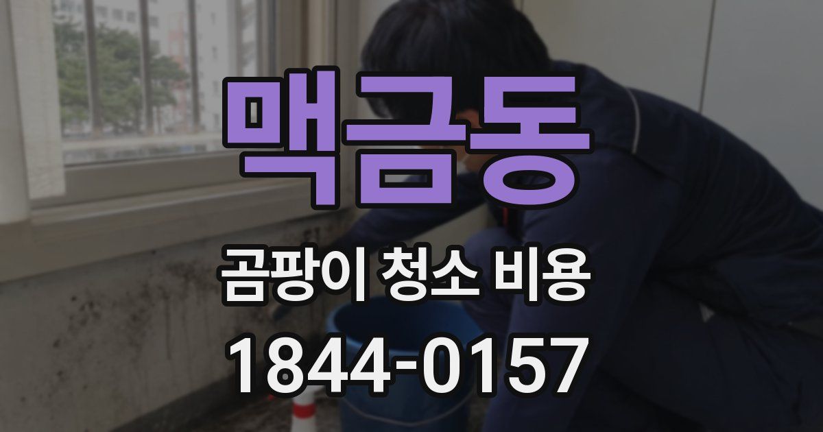 맥금동 곰팡이 청소 비용
