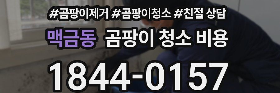 맥금동 곰팡이 청소 비용