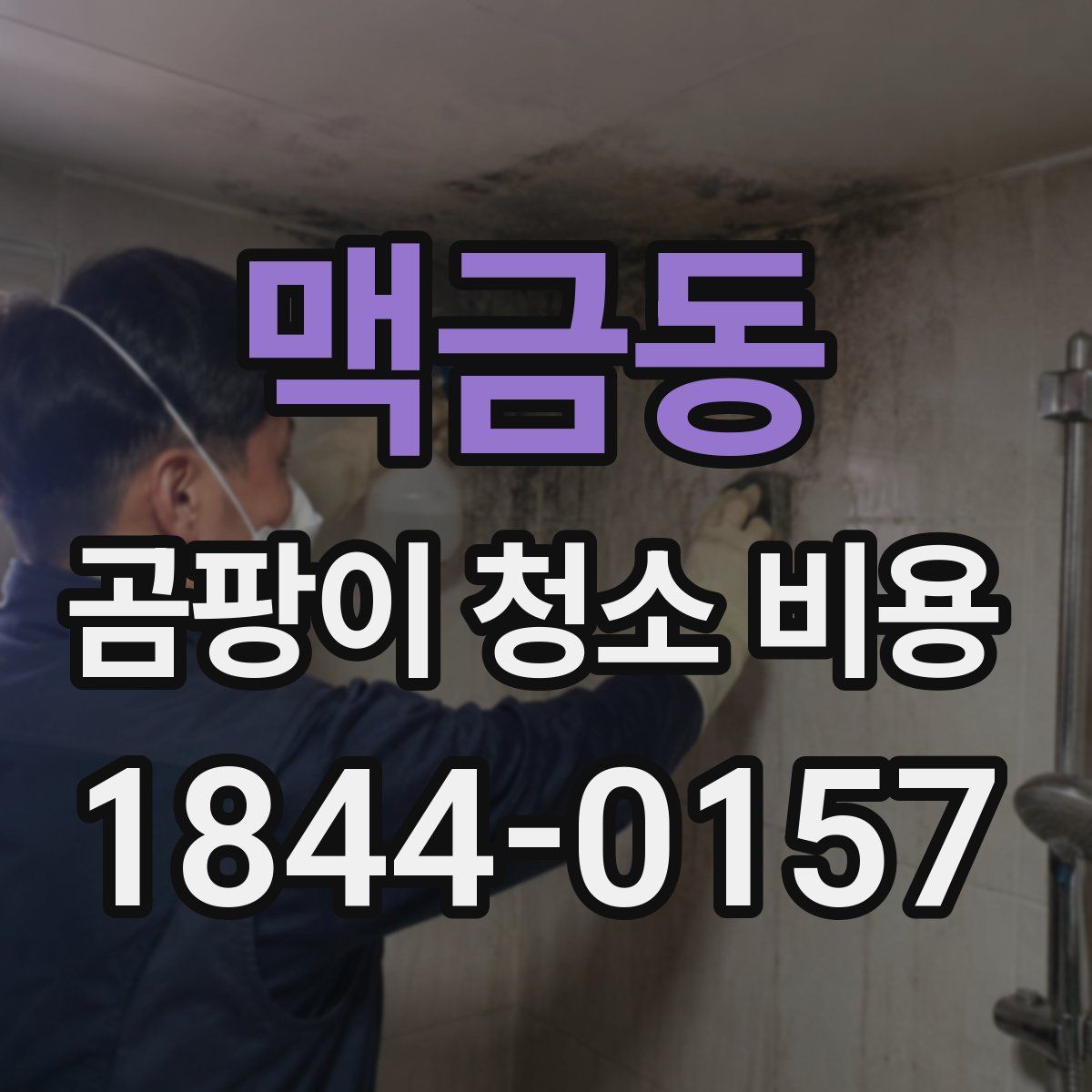 맥금동 곰팡이 청소 비용