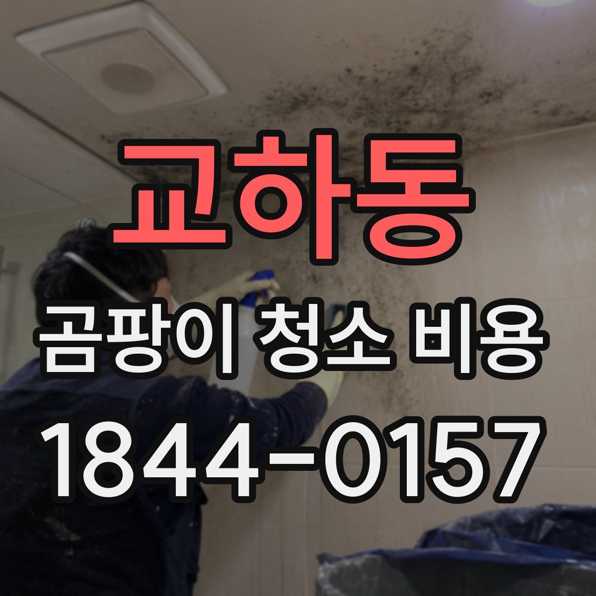 교하동 곰팡이 청소 비용