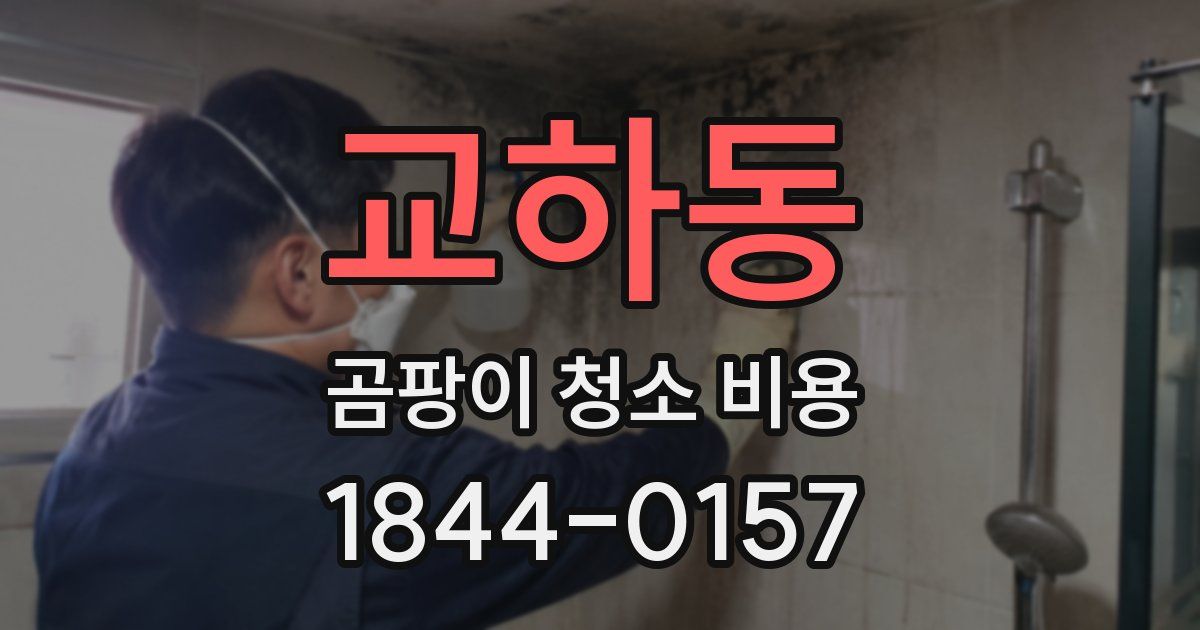 교하동 곰팡이 청소 비용