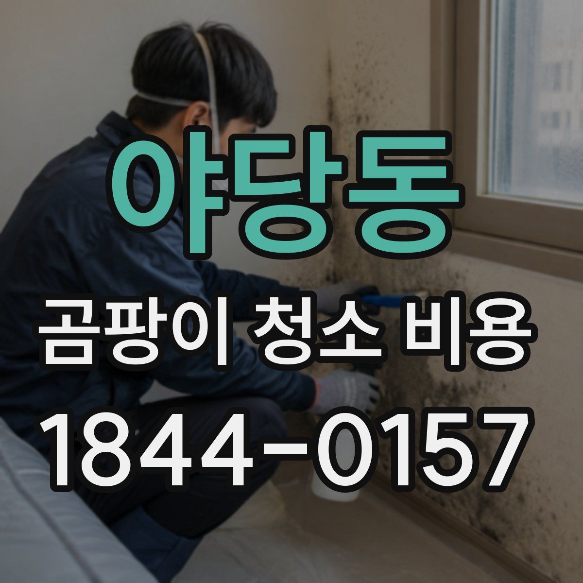 야당동 곰팡이 청소 비용