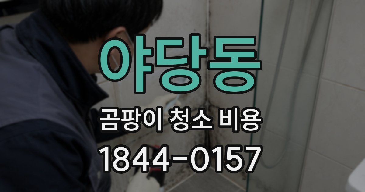 야당동 곰팡이 청소 비용