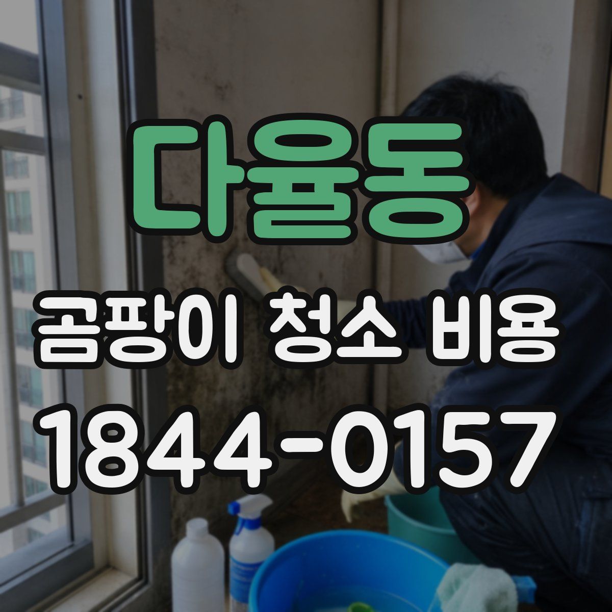 다율동 곰팡이 청소 비용