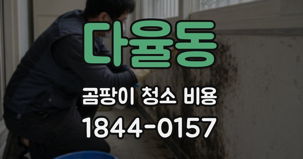 다율동 곰팡이 청소 비용