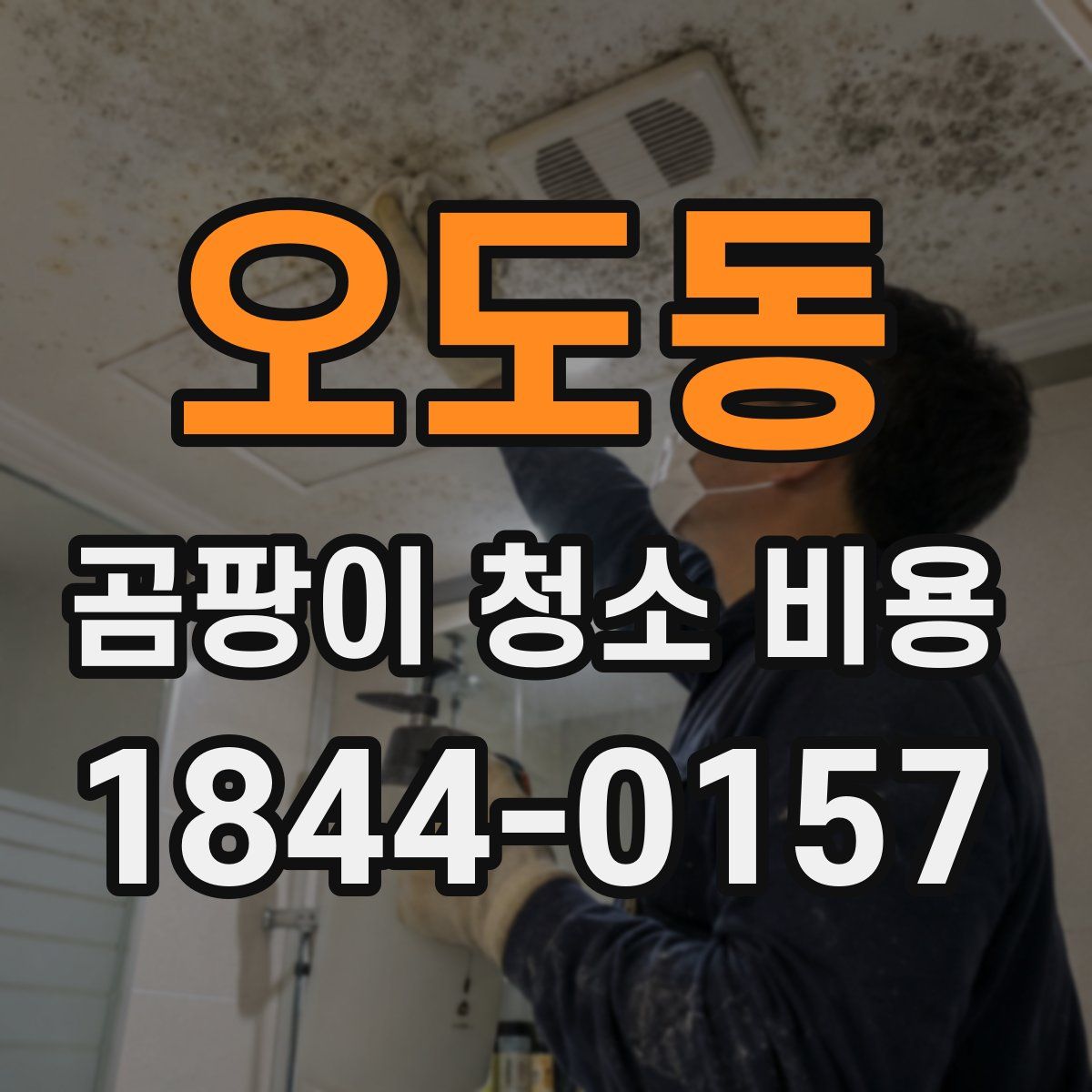 오도동 곰팡이 청소 비용
