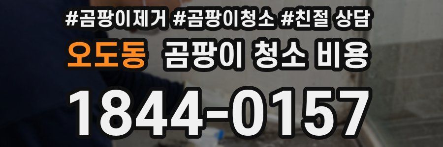오도동 곰팡이 청소 비용