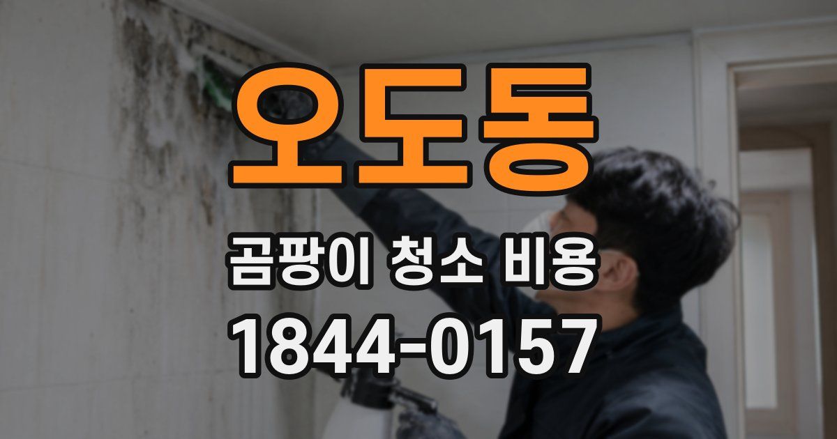 오도동 곰팡이 청소 비용