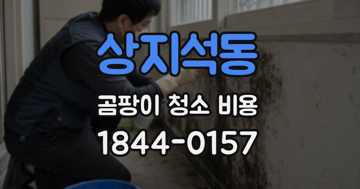 상지석동 곰팡이 청소 비용