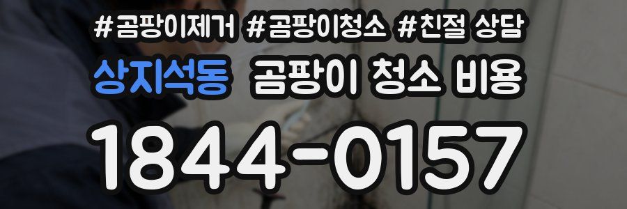 상지석동 곰팡이 청소 비용