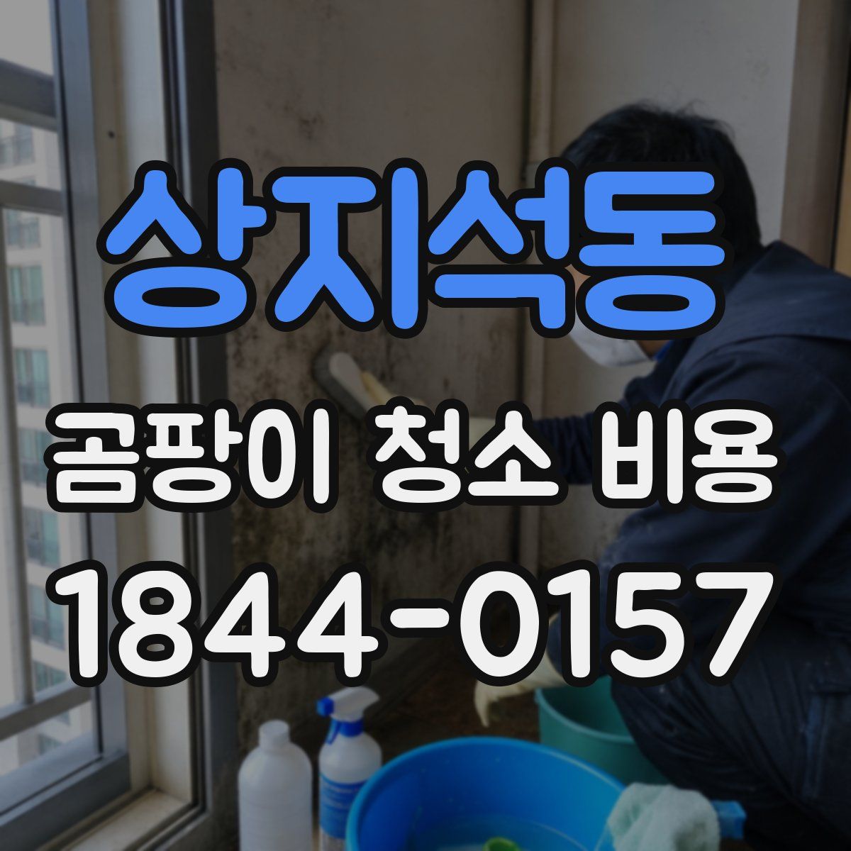 상지석동 곰팡이 청소 비용