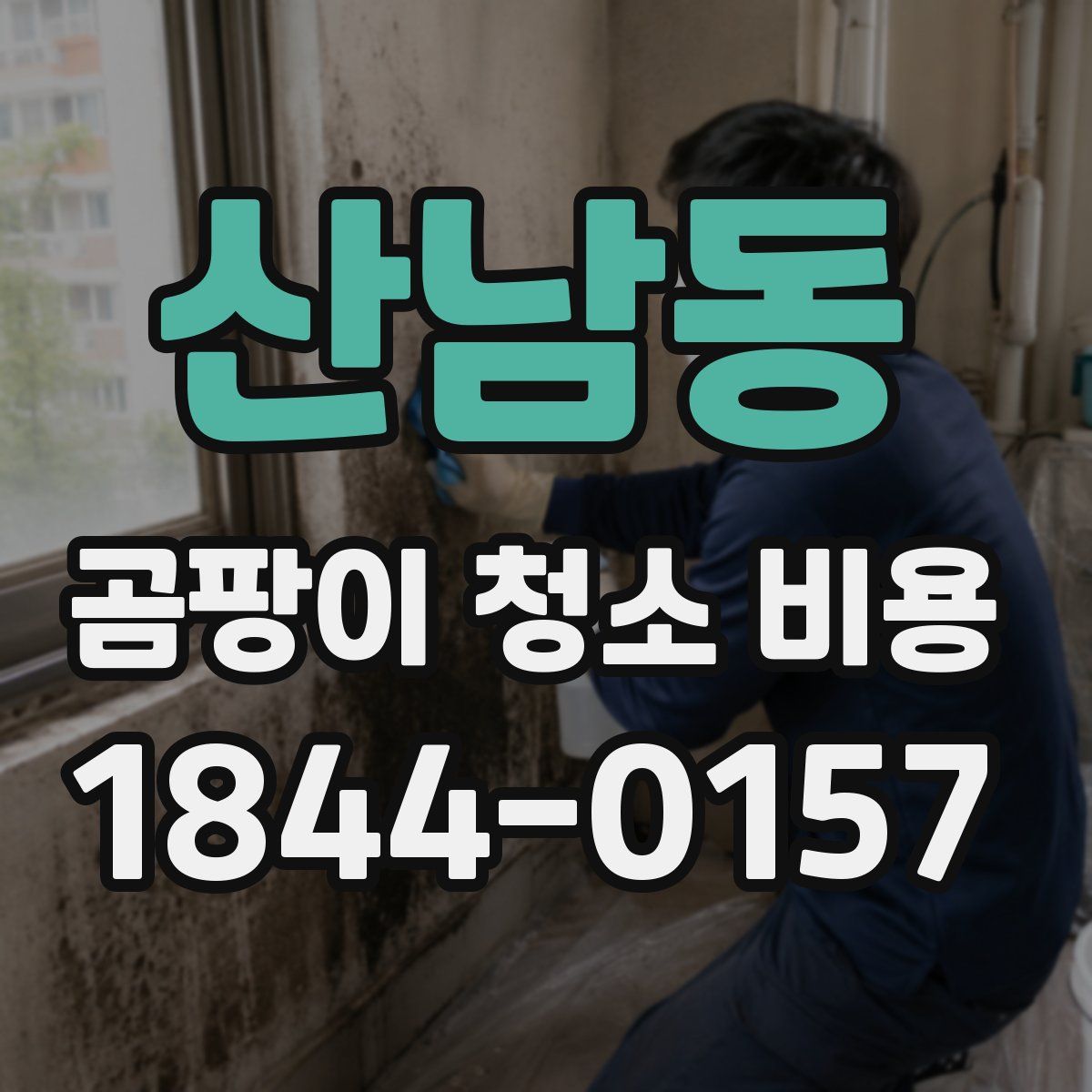 산남동 곰팡이 청소 비용