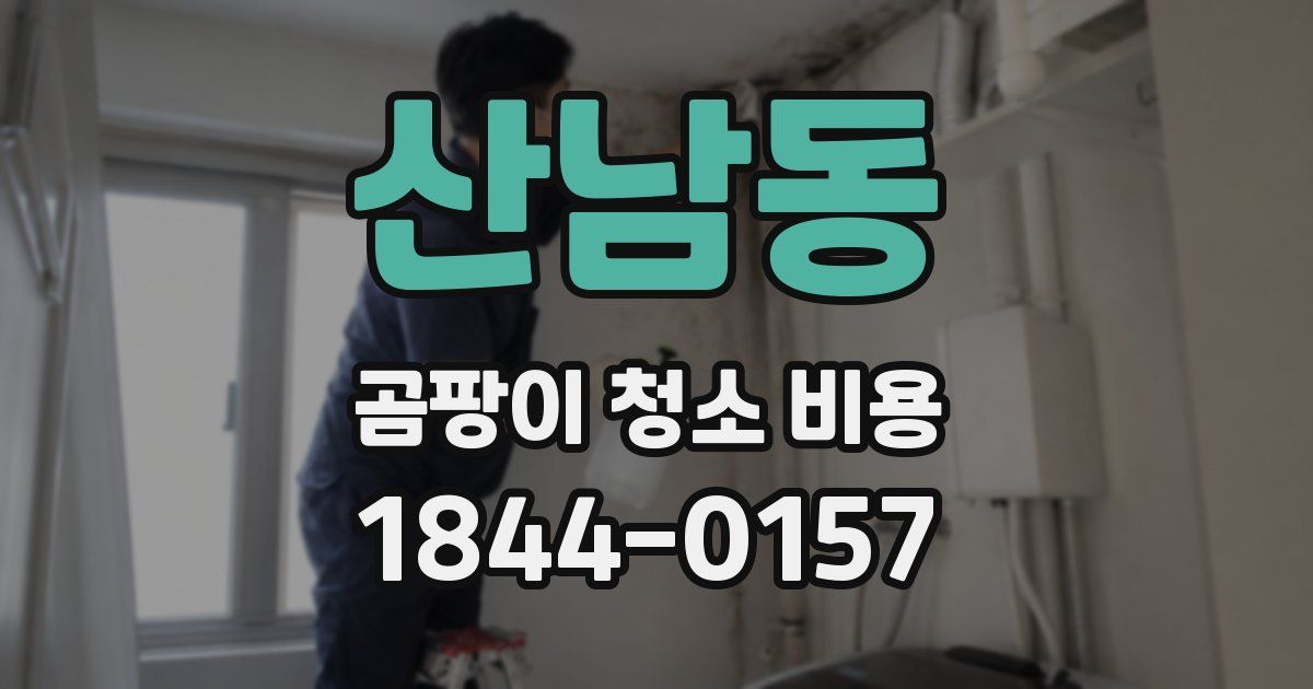 산남동 곰팡이 청소 비용