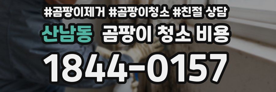 산남동 곰팡이 청소 비용