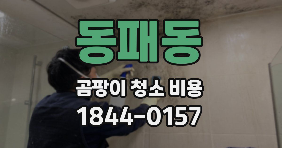 동패동 곰팡이 청소 비용