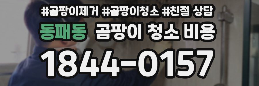 동패동 곰팡이 청소 비용