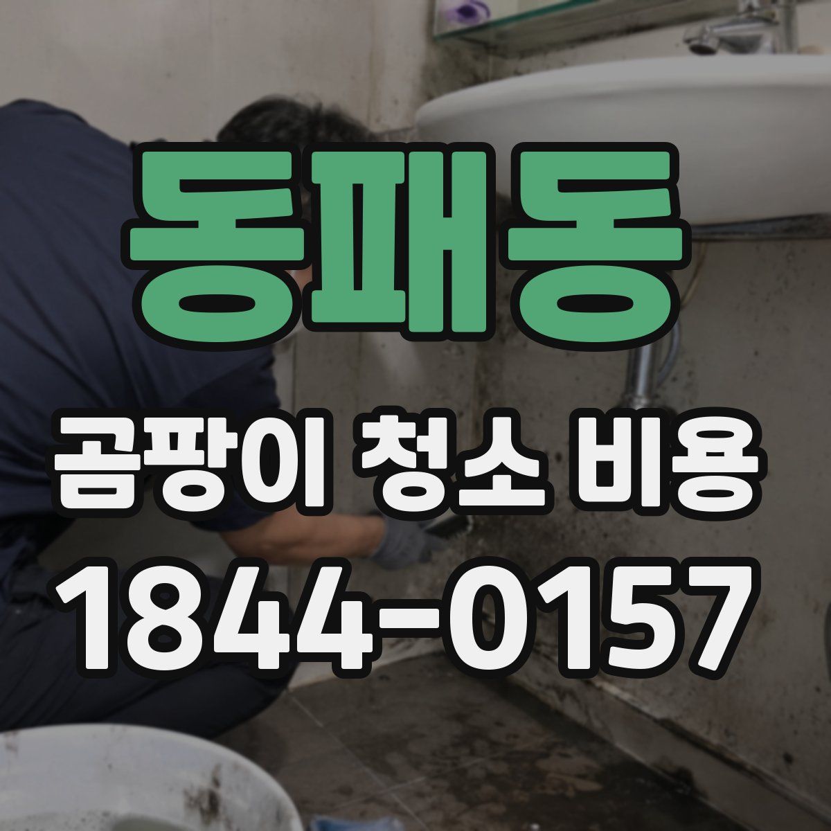 동패동 곰팡이 청소 비용