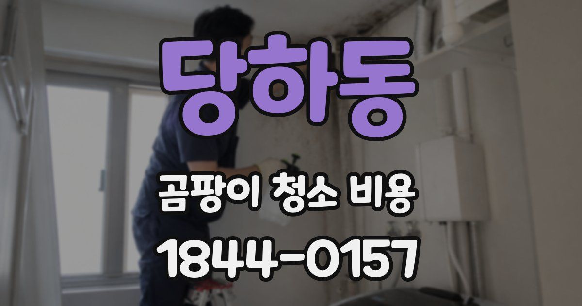 당하동 곰팡이 청소 비용