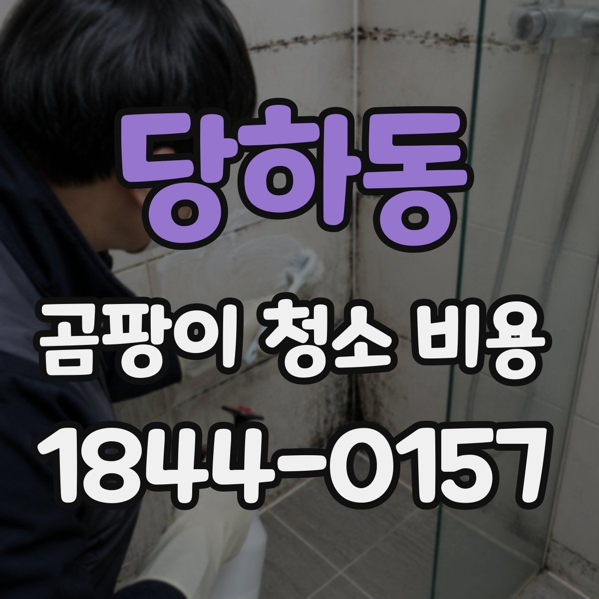 당하동 곰팡이 청소 비용
