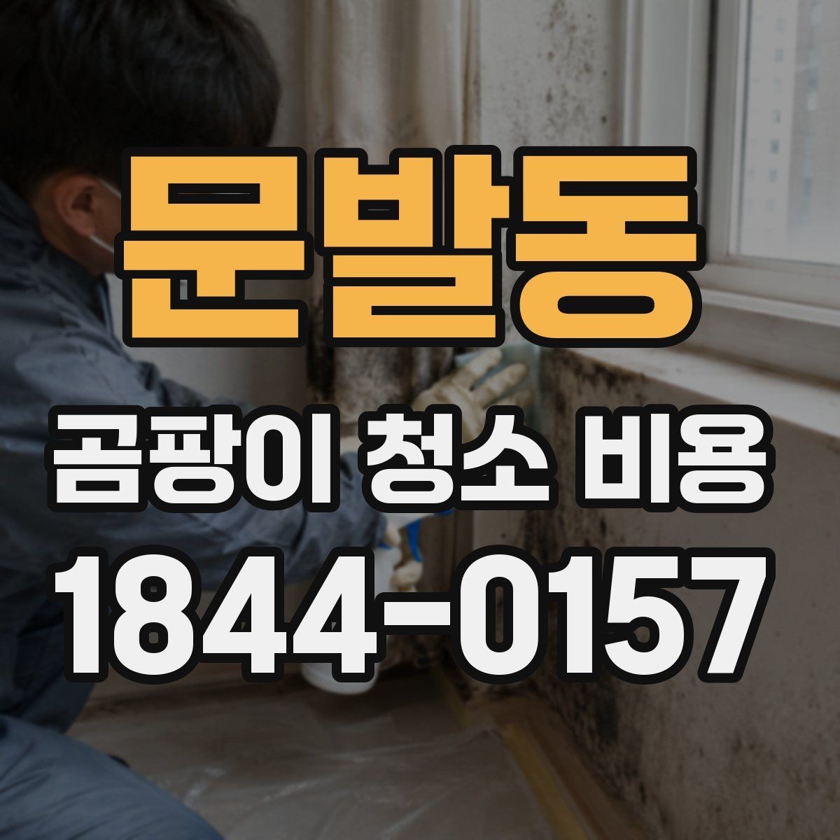 문발동 곰팡이 청소 비용 문의 시 업체별 확인 포인트
