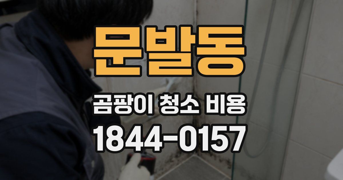 문발동 곰팡이 청소 비용