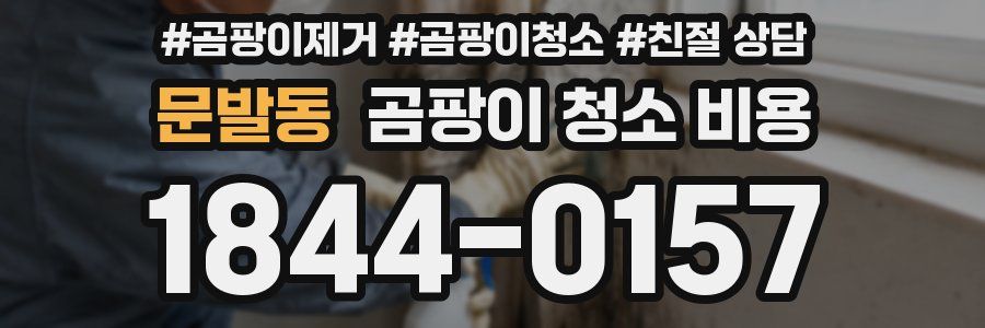 문발동 곰팡이 청소 비용