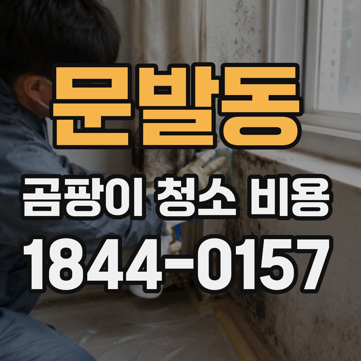 문발동 곰팡이 청소 비용