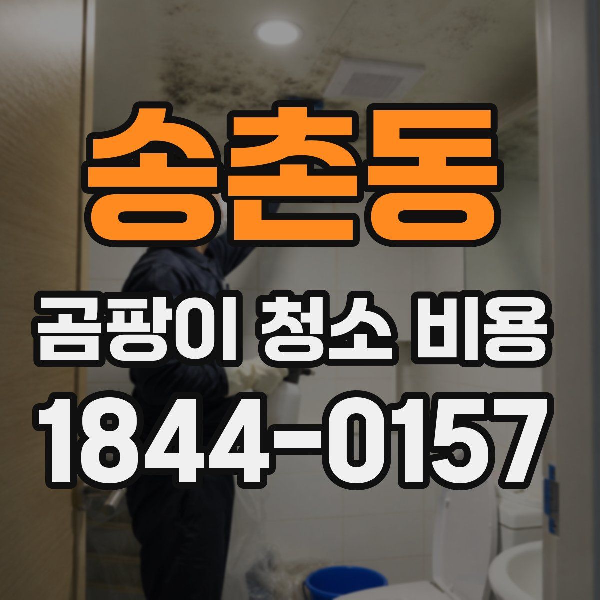 송촌동 곰팡이 청소 비용