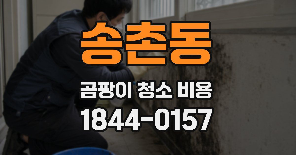 송촌동 곰팡이 청소 비용