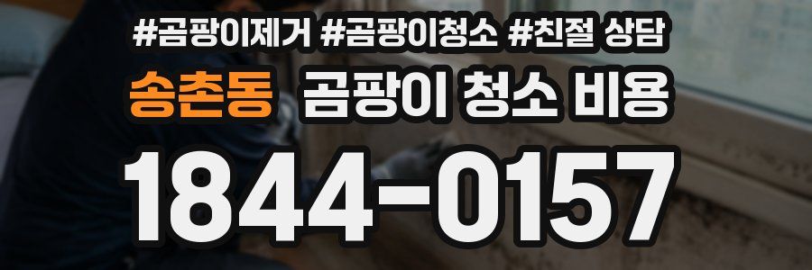 송촌동 곰팡이 청소 비용