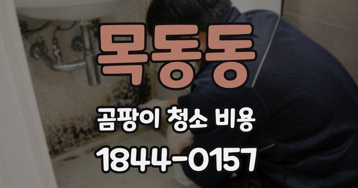 목동동 곰팡이 청소 비용