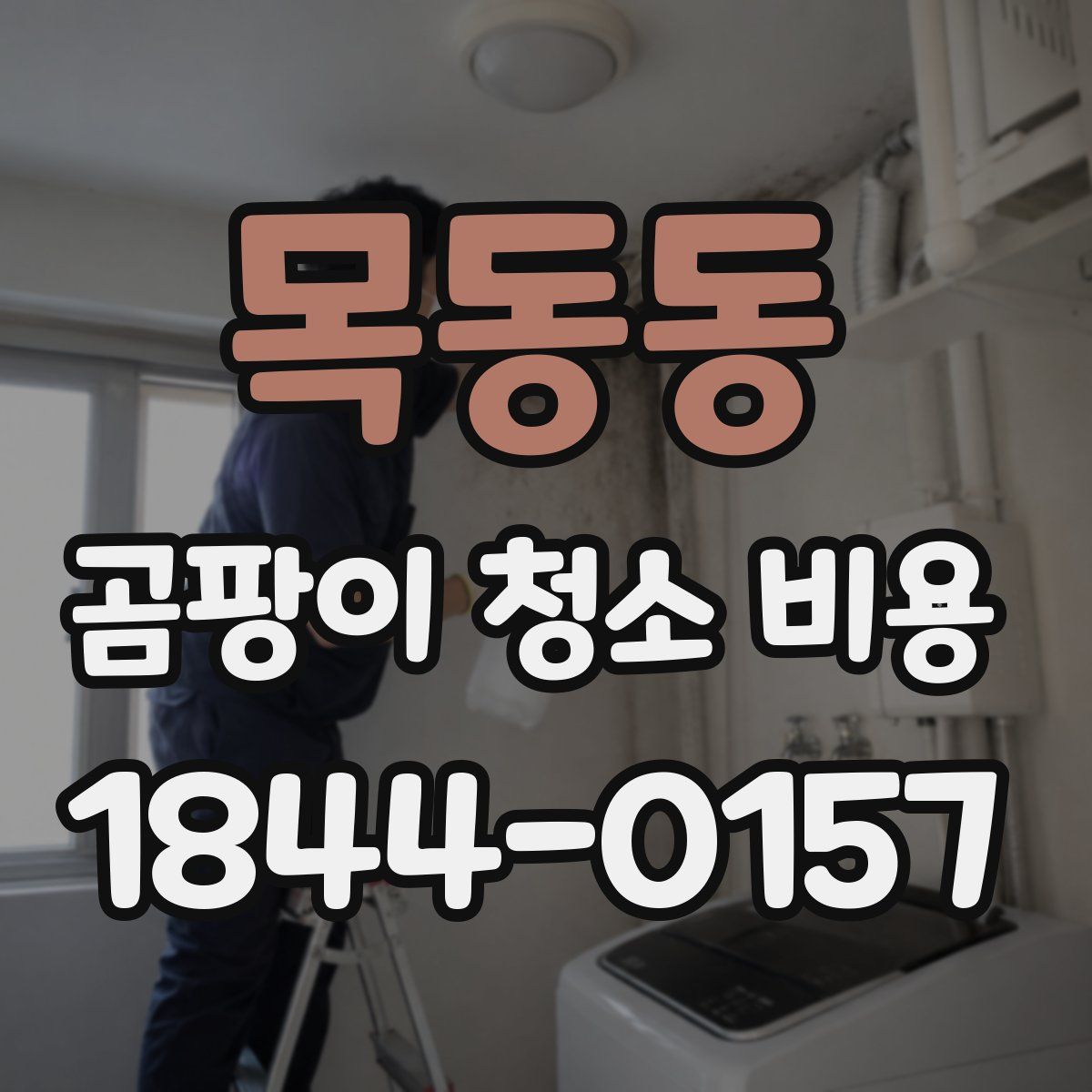 목동동 곰팡이 청소 비용