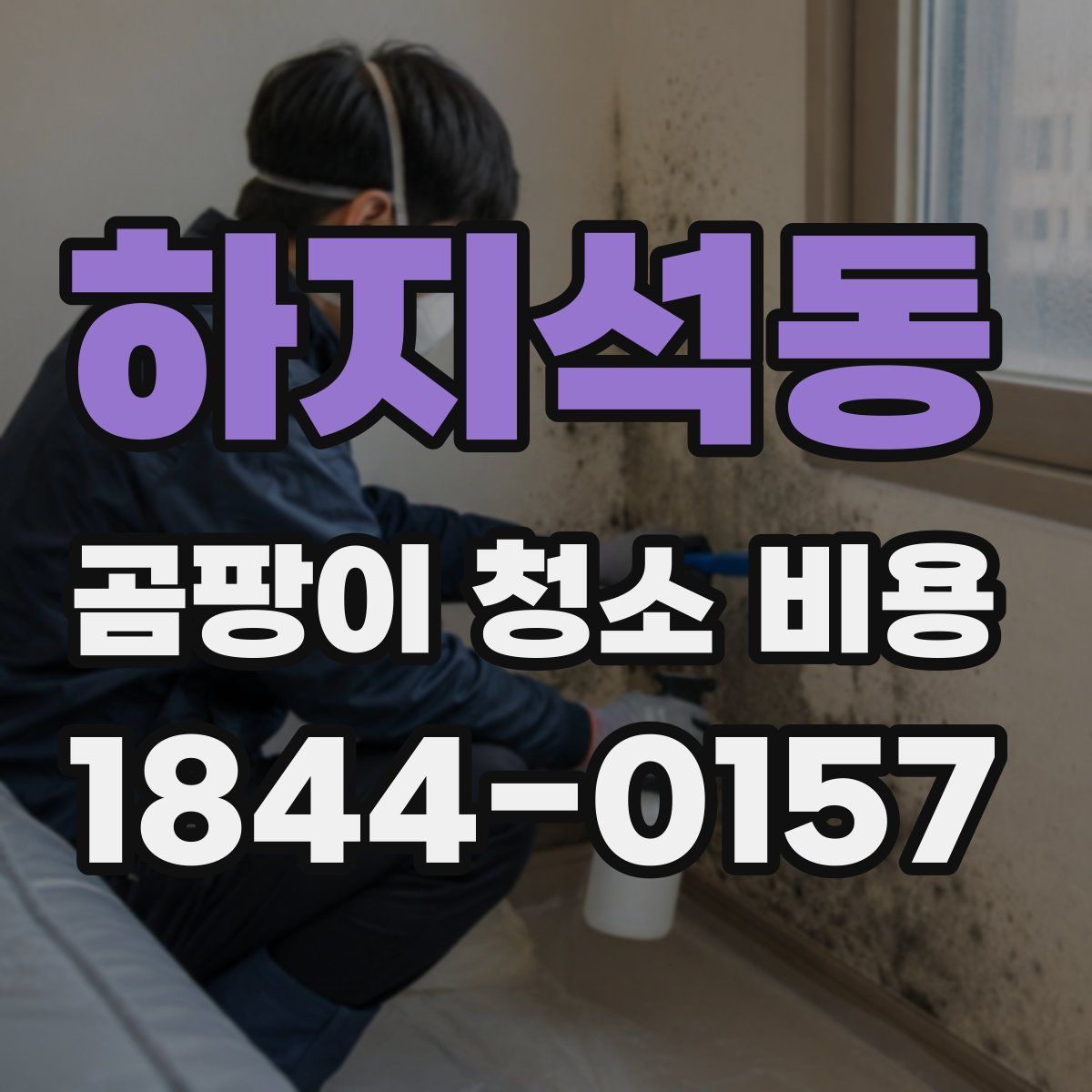 하지석동 곰팡이 청소 비용