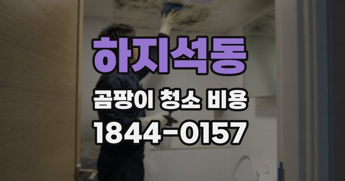 하지석동 곰팡이 청소 비용