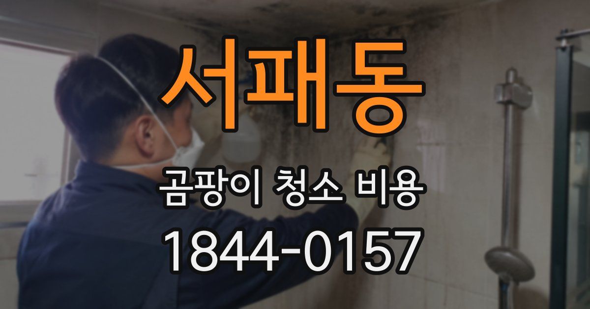 서패동 곰팡이 청소 비용