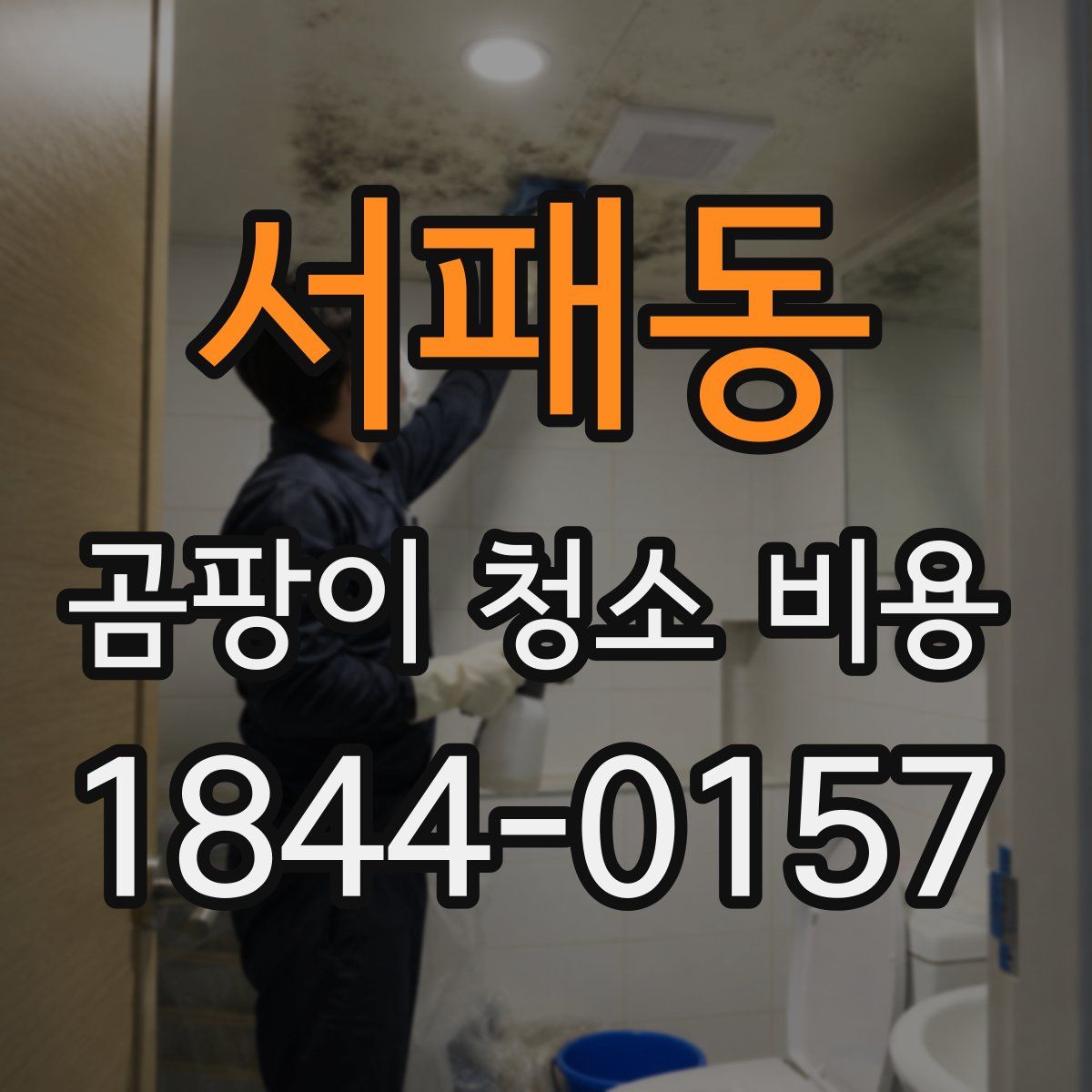 서패동 곰팡이 청소 비용