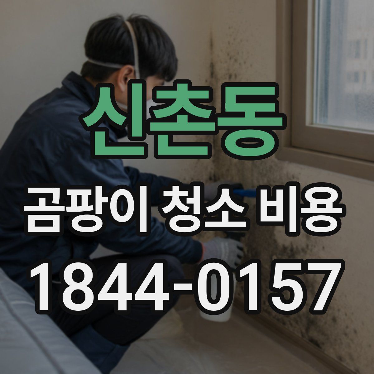 신촌동 곰팡이 청소 비용