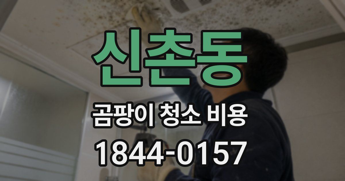 신촌동 곰팡이 청소 비용