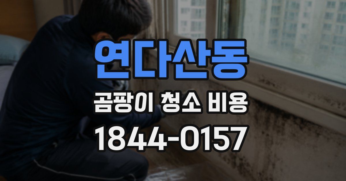 연다산동 곰팡이 청소 비용