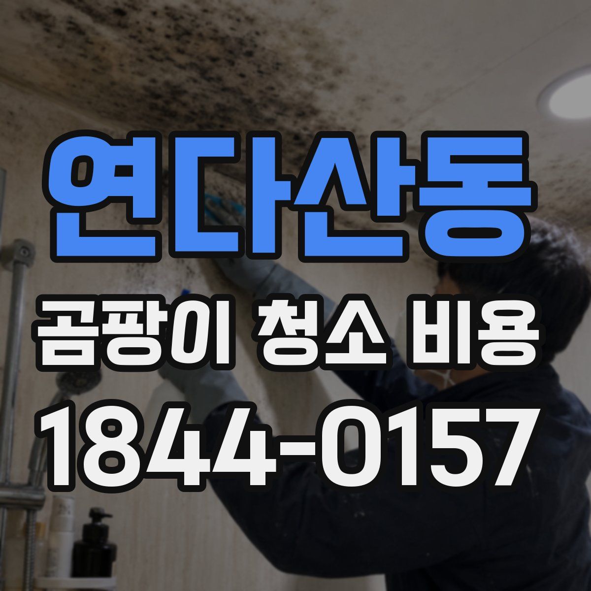 연다산동 곰팡이 청소 비용