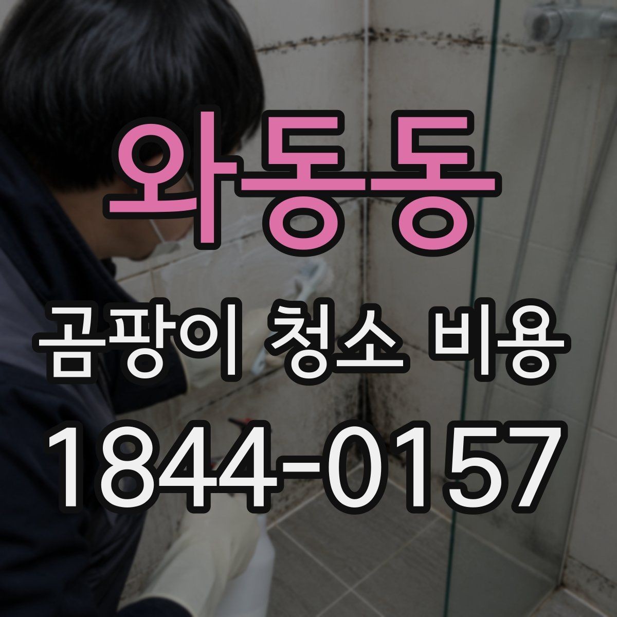 와동동 곰팡이 청소 비용 체크리스트와 견적 비교 팁