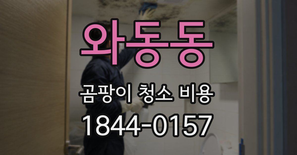 와동동 곰팡이 청소 비용