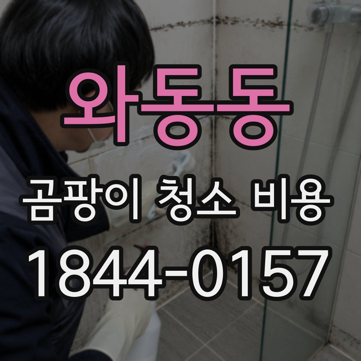 와동동 곰팡이 청소 비용