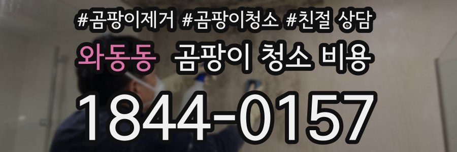 와동동 곰팡이 청소 비용