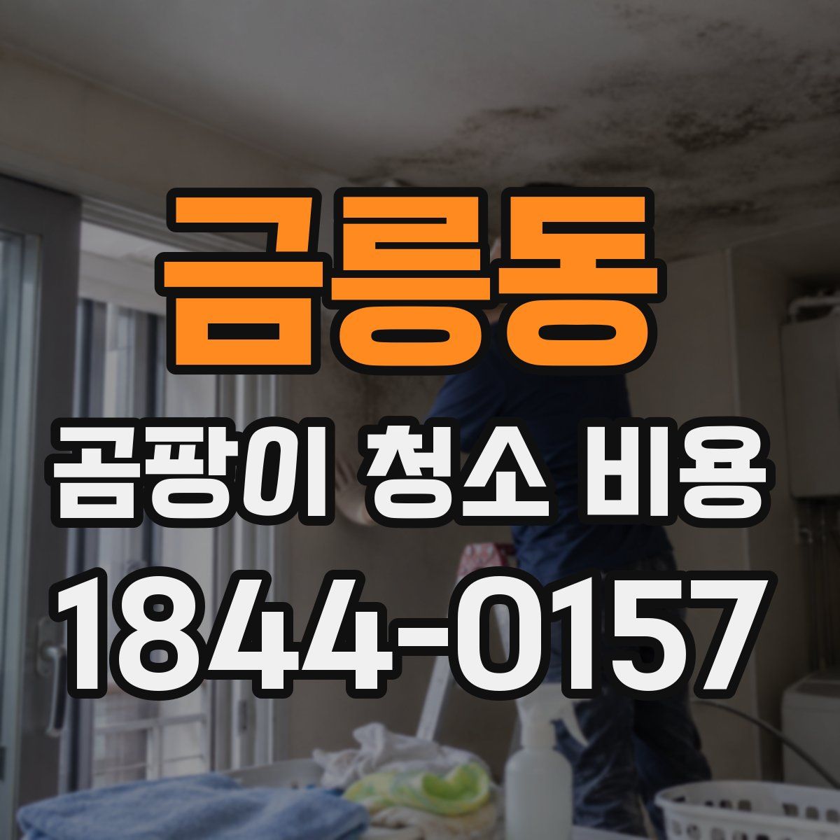 금릉동 곰팡이 청소 비용