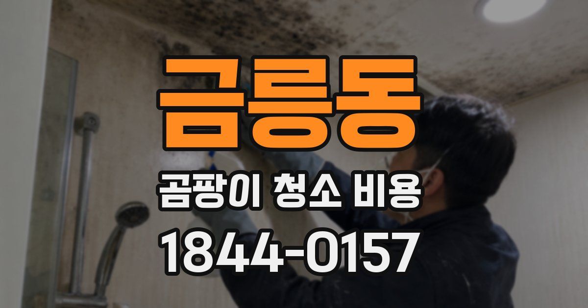 금릉동 곰팡이 청소 비용