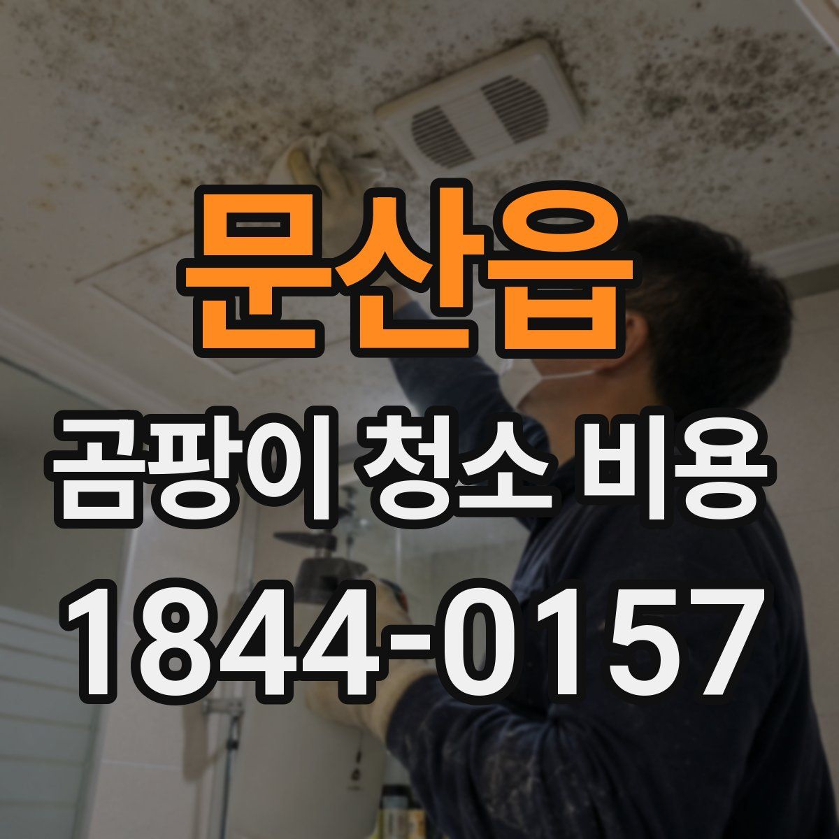 문산읍 곰팡이 청소 비용
