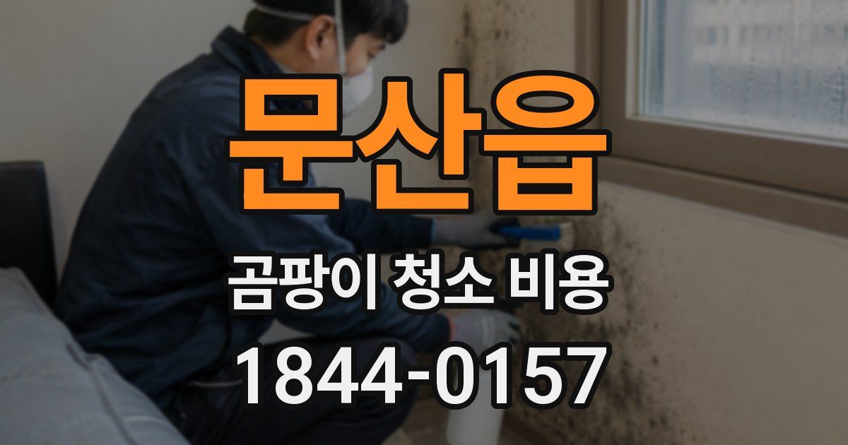 문산읍 곰팡이 청소 비용