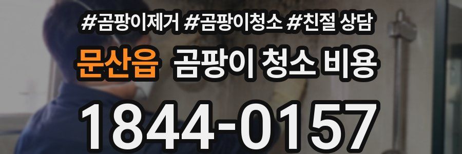 문산읍 곰팡이 청소 비용