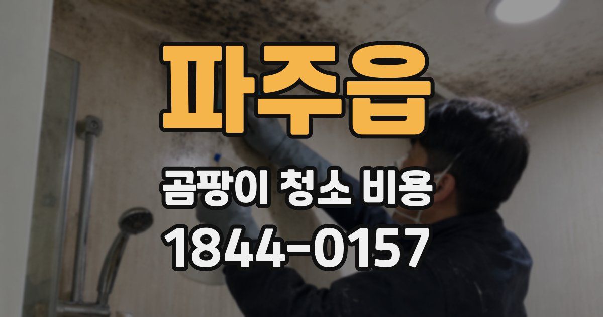 파주읍 곰팡이 청소 비용